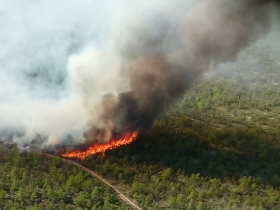 Открытый огонь по всему периметру пожара на севере Сахалина приостановили
