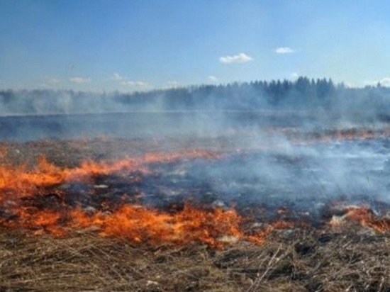 Первые природные пожары зарегистрированы на Чукотке