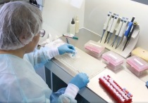 В Забайкалье за сутки выявлено 16 новых случаев заражения коронавирусом