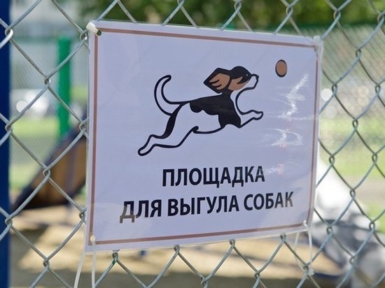 В Ярославле с собачьими площадками по-прежнему беда: желающих их обустроить так и не нашли