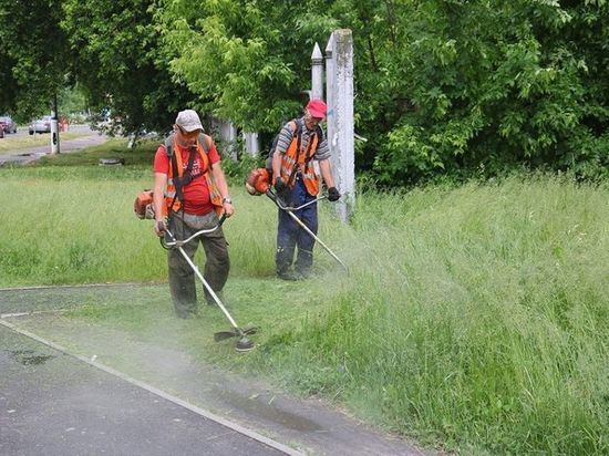 Порядка 25 рабочих ежедневно косят траву в Брянске