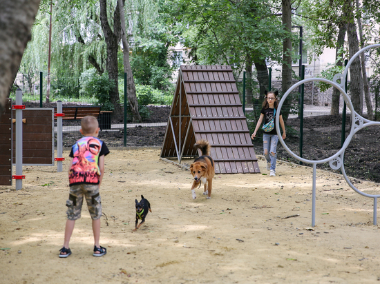 Зону для выгула домашних животных обустроили в Ставрополе в «Ореховой роще»