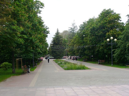 В Белгороде проведут инвентаризацию зеленых насаждений