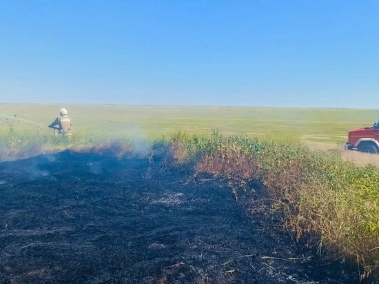 Пожароопасный период: в Калмыкии все чаще горит сухая трава