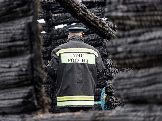 Садовый дом и баня сгорели в Псковской области за минувшие сутки