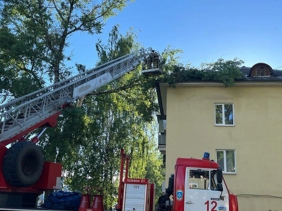 В Ржеве Тверской области деревья упали на дома