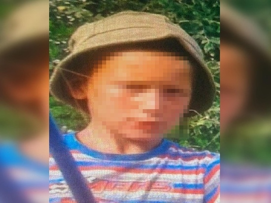 В Ростове-на-Дону пропал без вести 9-летний мальчик