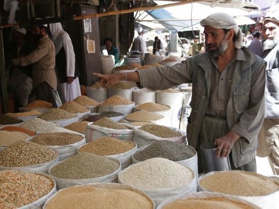 Представитель «Талибана» прибыл на ПМЭФ