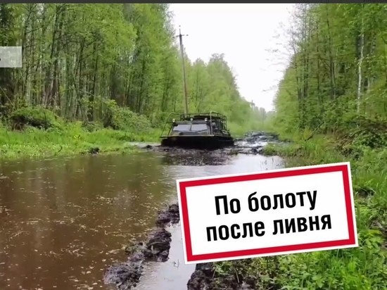 Дороги Псковской области превратились из-за ливней в болото