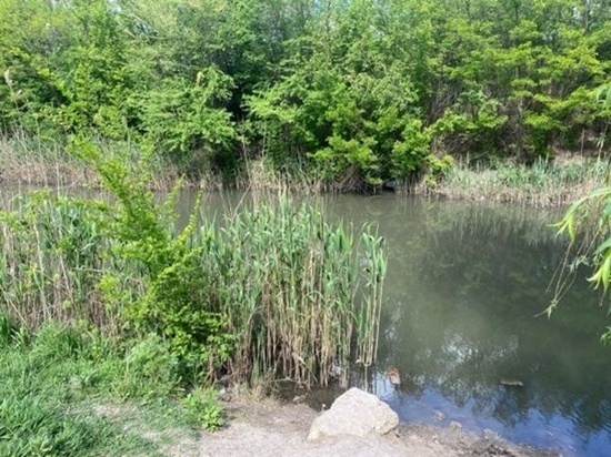 Роспотребнадзор Ростовской области обозначил самые грязные водоемы региона