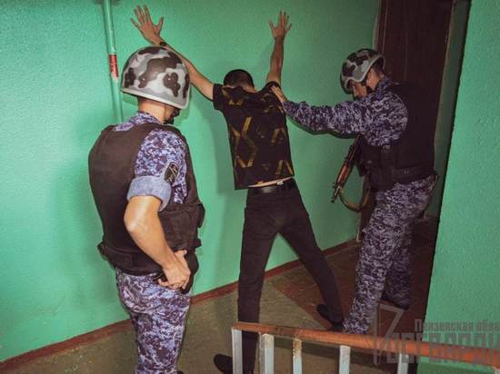 В Пензенской области задержали домушника, пытавшегося влезть в квартиру через окно