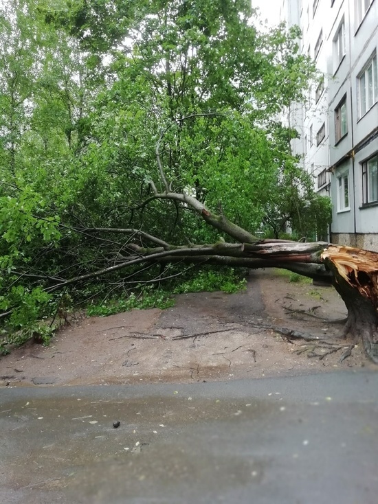 Из-за урагана в деревнях Псковского района отключилось электричество