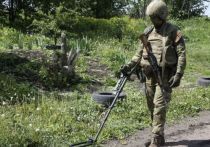 В Росгвардии сообщили о проделанной ее саперами работе по обезвреживанию мин вдоль дорог одного из населенных пунктов Донецкой Народной Республики
