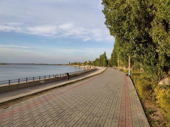 В Астрахани на Комсомольской набережной отказались от масштабной вырубки