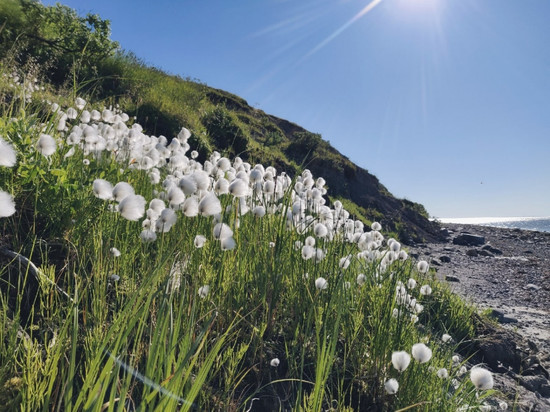 В рамках проекта планируется создать эколого-просветительский центр Ненецкого автономного округа