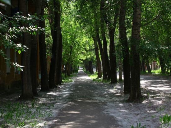 В Челябинской области жара до +30, местами дожди и грозы