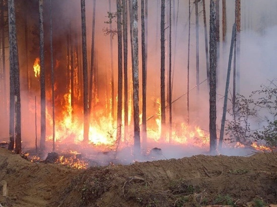 В двух районах Бурятии потушили лесные пожары