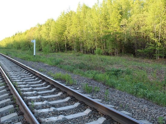 Тело пожилой женщины обнаружили в районе железнодорожного переезда на Сахалине