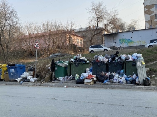 Депутаты Заксобрания Новосибирской области сформулировали условия реализации мусорной реформы