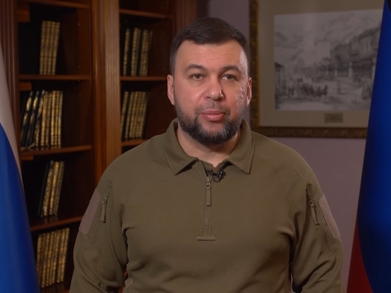 Пушилин заявил, что силы ДНР не остановятся на границе республики