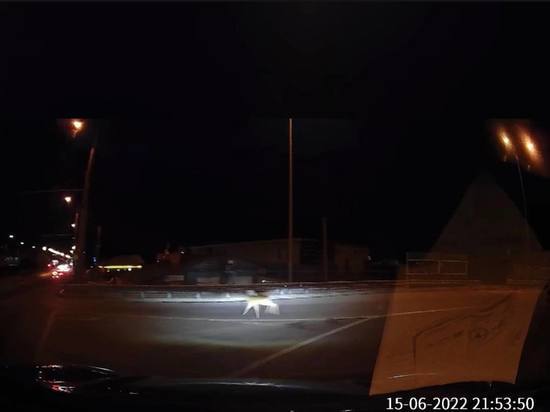 Пензенцы рассказали о косуле, которая гуляла по терновке