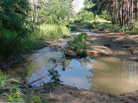 В воронежском Северном лесу образовалось озеро из канализационных стоков
