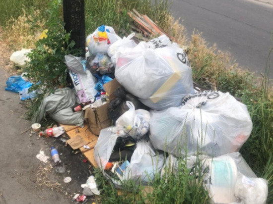 Ростовчане пожаловались на стихийную мусорную свалку на улице Погодина