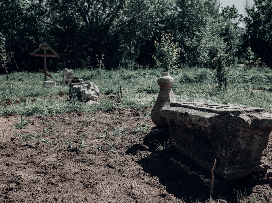 В Тверской области неизвестные выкопали деревья из могилы