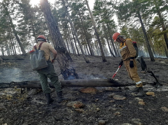 За сутки в лесах Бурятии потушили один пожар