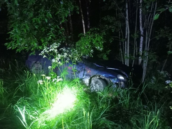 В Тверской области молодой водитель сбил лося