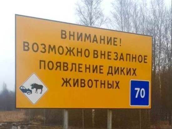 Новые информационные знаки поставят на восьми новгородских дорогах