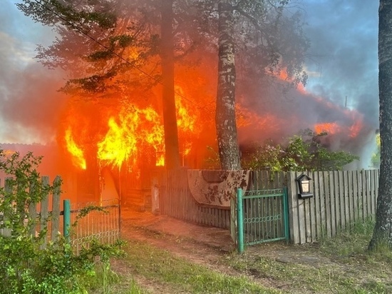 Мужчина погиб при пожаре в собственном доме в Чагоде
