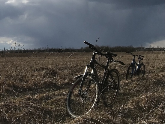 В Тверской области молодые воры украли велосипед и продали незнакомцу