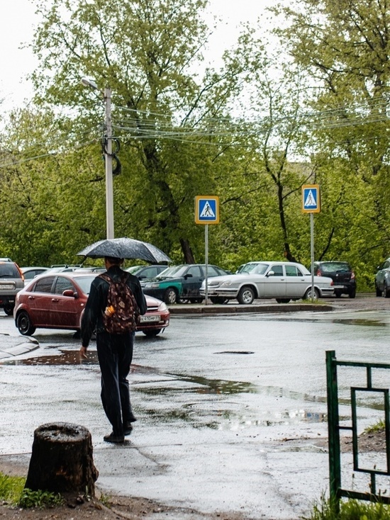 Дождь или солнце: какую погоду ждать жителем Тверской области в эти выходные