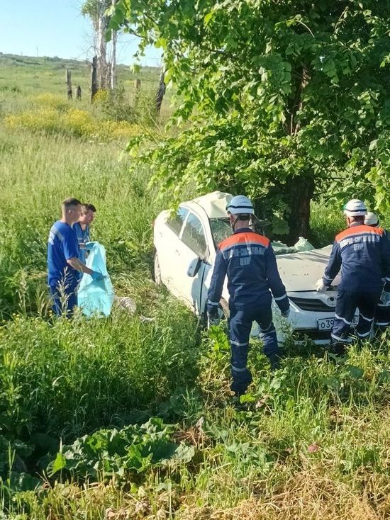 В Пензенской области женщина погибла, врезавшись в дерево
