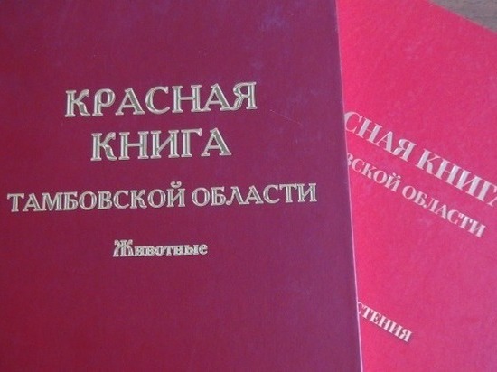 В Красную книгу Тамбовской области внесут изменения