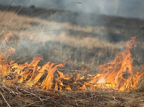 Во многих районах донского региона ожидается большая вероятность пожаров