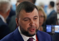 Глава Донецкой народной республики (ДНР) Денис Пушилин заявил о том, что предпосылки для возможного помилования трех иностранных наемников, которых ранее приговорили к казни, отсутствуют
