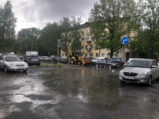 Дожди и грозы пройдут в Вологодской области на выходных