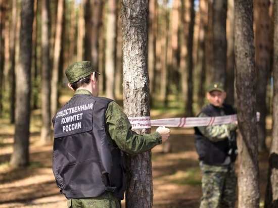 В Тверской области мужчина убил человека деревом
