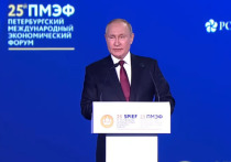 Президент России Владимир Путин, выступая на Петербургском международном экономическом форуме, заявил, что, по его мнению, следует «навсегда отказаться от большинства проверок российского бизнеса»