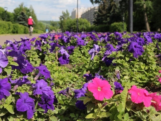 Географический центр Нижнего Новгорода украсили цветники