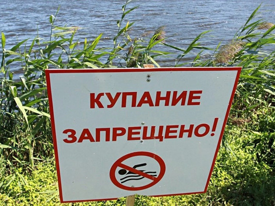 На одном из пляжей Тамбова запретили купаться