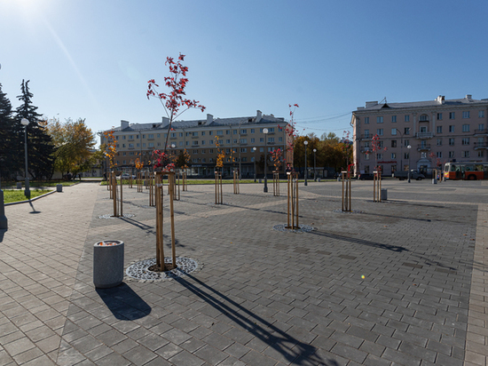 Погибшие деревья на площади Ленина в Пскове могут заменить