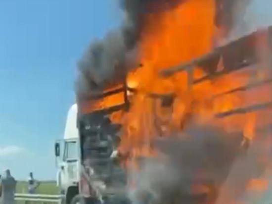 В Ростове-на-Дону на ходу загорелся легковой автомобиль