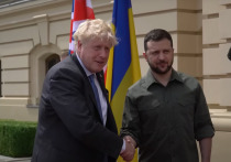 Многие однопартийцы премьер-министра Великобритании Бориса Джонсона осудили его визит к президенту Украины Владимиру Зеленскому