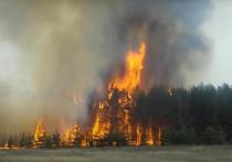Авиалесоохрана сообщила, что за минувшие сутки 38 лесных пожаров было устранено пожарными службами России