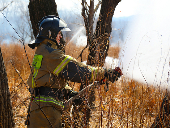 В Приморье впервые за год случился лесной пожар из-за сухой грозы