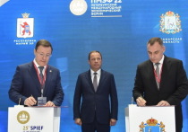 Врио Главы Марий Эл и губернатор Самарской области договорились о сотрудничестве по импортозамещению.