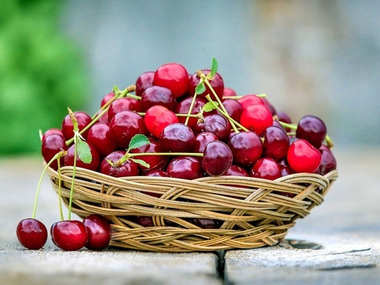 Диетолог Гинзбург назвал выгодное отличие вишни и черешни от других ягод
